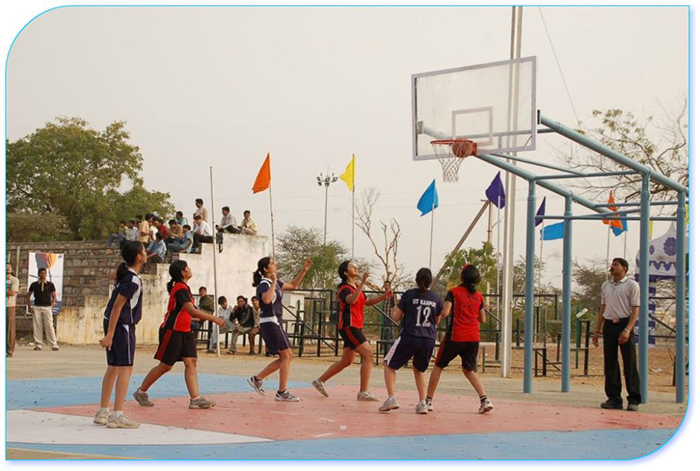 Competition Basketball Goal